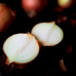 onion by Sawicka Agnieszka (1 of 1)
